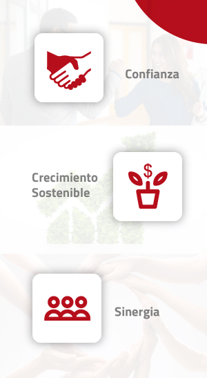 Valores Corporativos