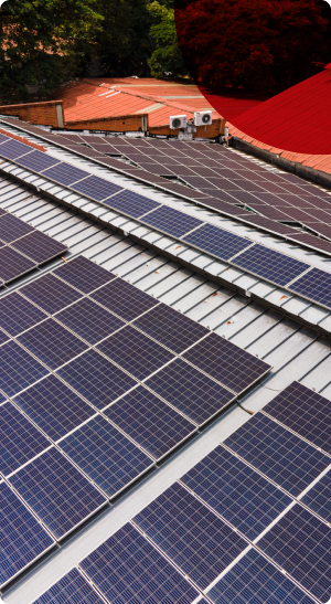 Paneles solares en techo metálico. Energía solar para empresas en Colombia.