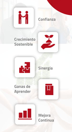Valores corporativos de Allers Group: confianza, crecimiento sostenible, sinergia, ganas de aprender y mejora continua.