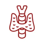 Icono de endocrinólogos – control de pacientes con obesidad